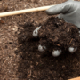 What is Compost? A Complete Guide to Composting